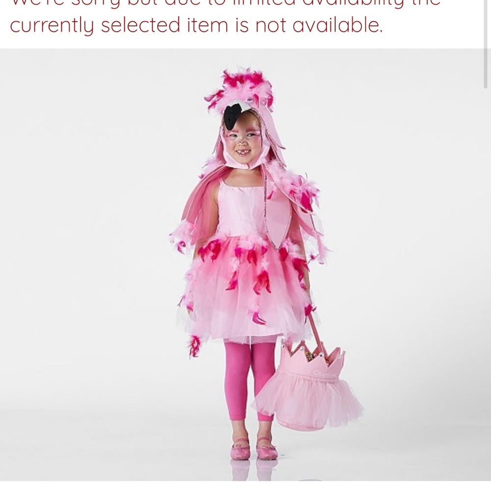 Pottery barn kids flamingo costume